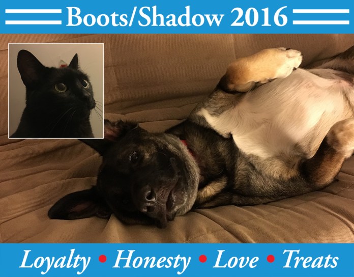 boots_shadow_2016