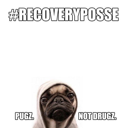 tumblr_inline_napuk8vxz11rmkq8r