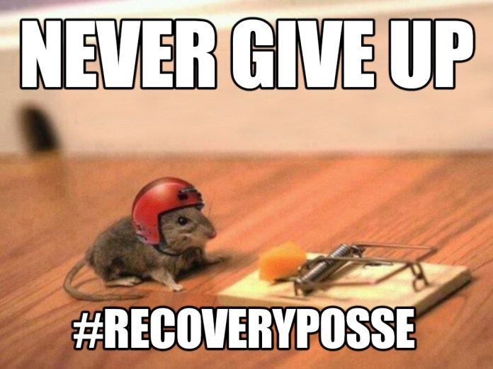 tumblr_inline_nr6b0sveqs1rmkq8r_1280